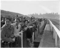 Spectators on Derby Day at Santa Anita, February 22, 1937