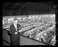 Michael D. Fanning, U.S. Postmaster, standing in rafters above employees working in mailing sorting warehouse in Los Angeles, Calif., 1951