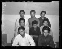 Group portrait of eight Mexican American males taken in for questioning in the 1942 Sleepy Lagoon murder investigation, Los Angeles, Calif