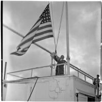 Tony Cornero raising the U.S. flag on his newly refurbished gambling ship, the Bunker Hill or Lux, Los Angeles, 1946