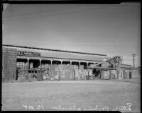 Lettuce packing plant, the subject of a worker's strike, Los Angeles, 1934