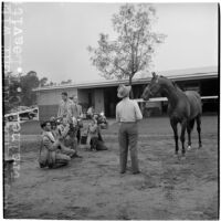 Race horse War Knight and his trainer C.T. Leavitt pose for photographers, Arcadia, March 9, 1946