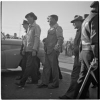 Strikers during the Conference of Studio Unions strike against all Hollywood Studios, Los Angeles, October 19, 1945