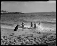 Boys with dog on Venice Beach, circa 1934