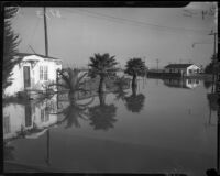 Homes and palm trees underwater after flooding in the Venice area, circa January 1, 1934