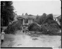 Damage after near-tornado level winds and rain strike Alhambra. February 13, 1936