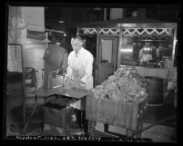 Butcher Alex Wright working with Butcher Boy meat cutter during 1946 meat shortage