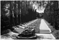 Tree-lined walkway on the estate of film comedian Harold Lloyd and his wife Mildred, Beverly Hills, 1927