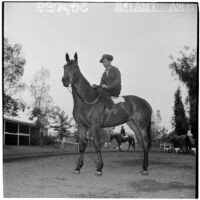 Jockey sits atop race horse Sea Image outside the Santa Anita Park stables, Arcadia, March 9, 1946