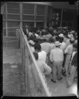 Undocumented Mexican workers await deportation, Los Angeles, 1954