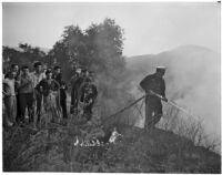 Spectators watch as a fireman hoses down flames from a forest fire in the Glendale Woodlands, December 20, 1937