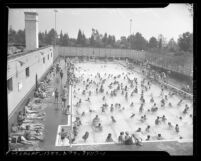 Swimmers at Los Angeles' La Cienega Municipal Pool, circa 1945