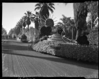 Tournament of Roses floates in staging area along Orange Grove Blvd. (probably), Pasadena, 1937