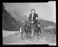 Air Raid warden Pauline McNab with three dogs patrolling Los Flores Canyon during brush fire in Los Angeles, Calif., 1942