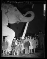 Group of deaf girls getting up close to elephant at Clyde Beatty Circus in Los Angeles, Calif., 1949