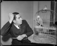 Attorney George Stahlman, photographed with parrot