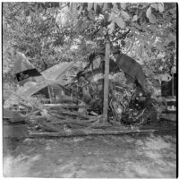 Wreckage of a plane crash that killed test pilot Clark McRoy and his 15-year-old passenger Russell C. Holt, Los Angeles, 1945