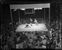 Heavyweight boxers Bob Pastor and Bob Nestell facing off at Wrigley Field, Los Angeles, 1937