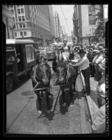 Elmer Napier and three models driving surrey, advertising California fashions in downtown Los Angeles, Calif., 1949