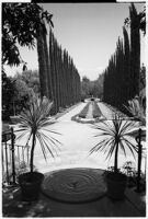 Tree-lined roadway on the estate of film comedian Harold Lloyd and his wife Mildred, Beverly Hills, 1927