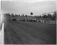 Horses racing on a rainy Derby Day at Santa Anita Park, Arcadia, February 22, 1940