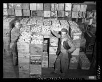 Two men standing amongst crates of illegal oranges in warehouse, Los Angeles, Calif., circa 1954