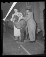 Jack Benny and Eddie Anderson, (aka Rochester) disembarking train with camel in Los Angeles, Calif