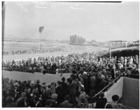 Crowd at Derby Day at the Santa Anita racetrack, February 22, 1937