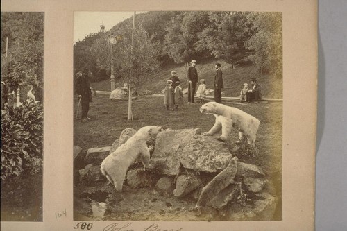 Animals at Woodward's Gardens