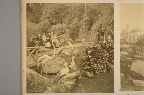 [No caption: Woodward's Gardens]