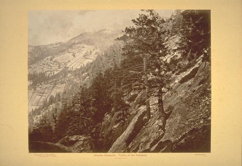 Glacier Channels. Valley of the Yosemite. From Panorama Rock. No. 41