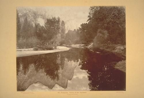 The Pompoms. Valley of the Yosemite. The Jumping Frogs Reflected. No. 13