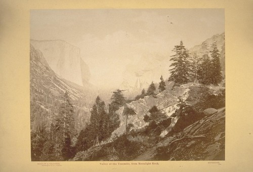 Valley of the Yosemite, from Moonlight Rock. No. 1