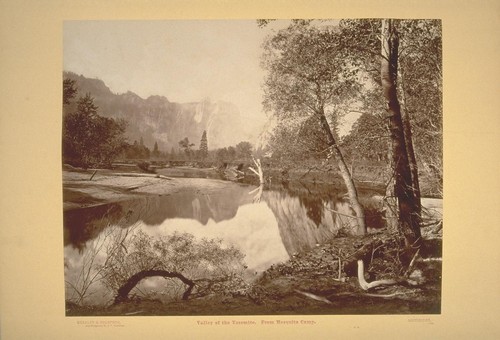 Valley of the Yosemite. From Mosquito Camp. No. 22