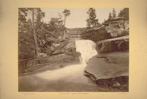 Wild Cat Fall. Valley of the Yosemite. No. 30