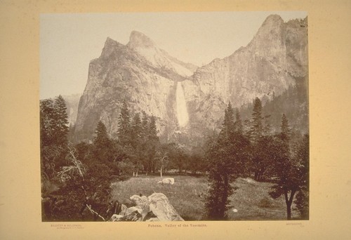 Pohona. Valley of the Yosemite. No. 6