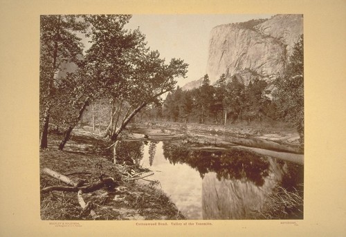 Cottonwood Bend. Valley of the Yosemite. No. 15