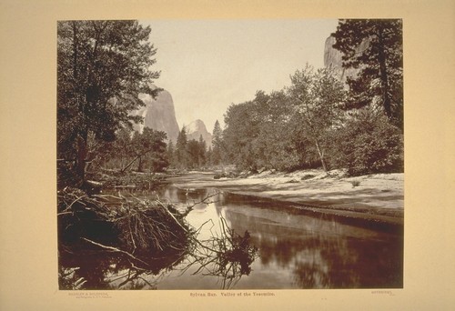 Sylvan Bar. Valley of the Yosemite. No. 16