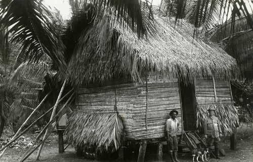 513. Costa Rica: a hut in the lowlands