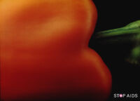 Pepper and zucchini, Stop AIDS poster
