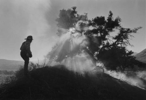 Brushfire in Conejo Community park