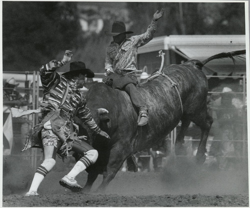 Conejo Valley Days Rodeo — Calisphere