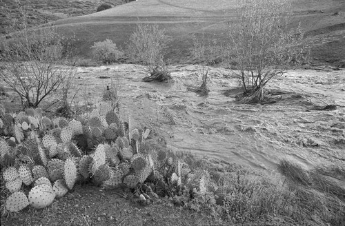 Barranca off Ventu Park Road flooded