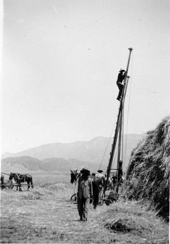 Men working with hay baler at the Barker Ranch on the Banning Bench near Banning, California