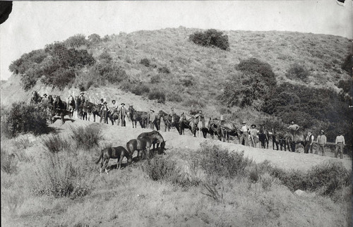 Large group of men with horses and scythes on the Banning Bench near Banning, California