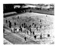 Snowfall on campus - Snowball fight on Esplanade, 1932