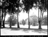 Vermont Avenue campus - Millspaugh Hall with eucalyptus trees, 1928