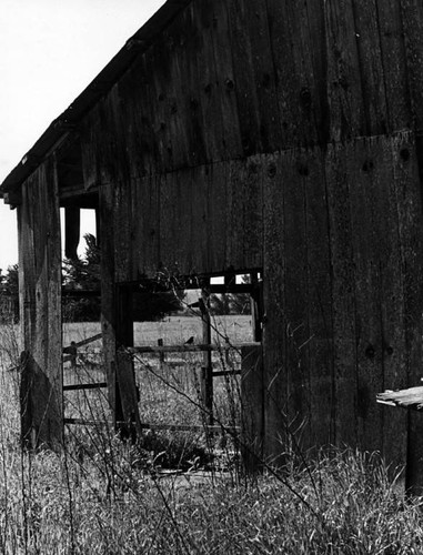 Barn, Petaluma, California