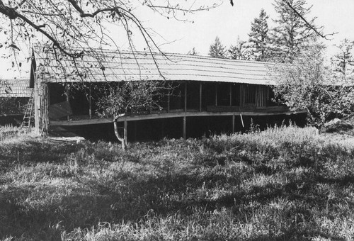 Abandoned chicken coop, Graton, California