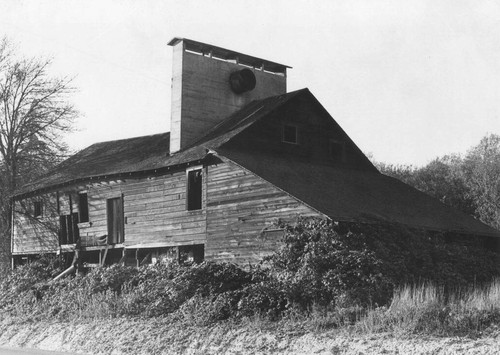 Apple dryer, Graton, California